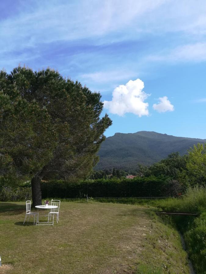 Le Quatorze Appartement Laroque-des-Albères Buitenkant foto