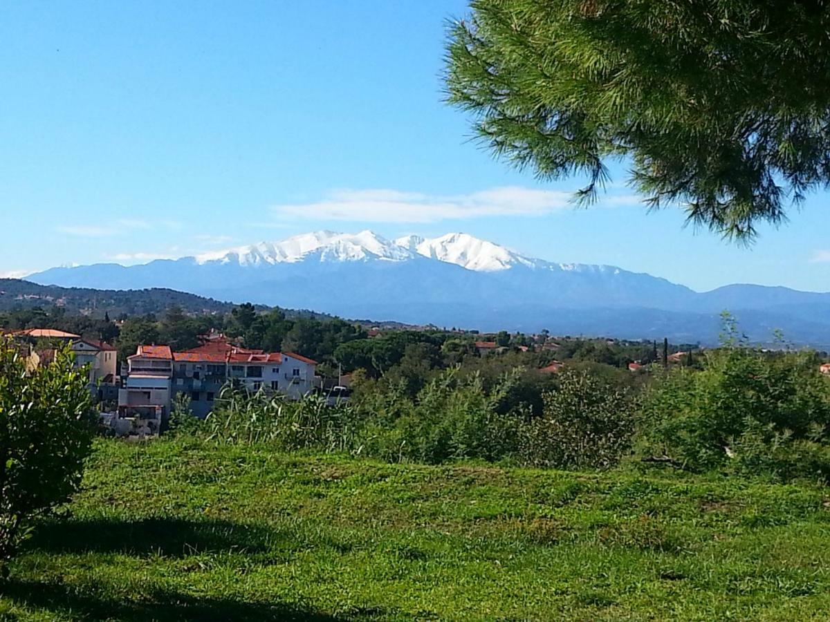 Le Quatorze Appartement Laroque-des-Albères Buitenkant foto